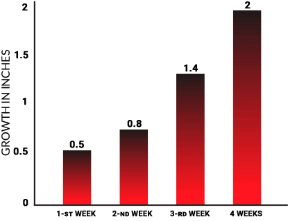 growth-graph